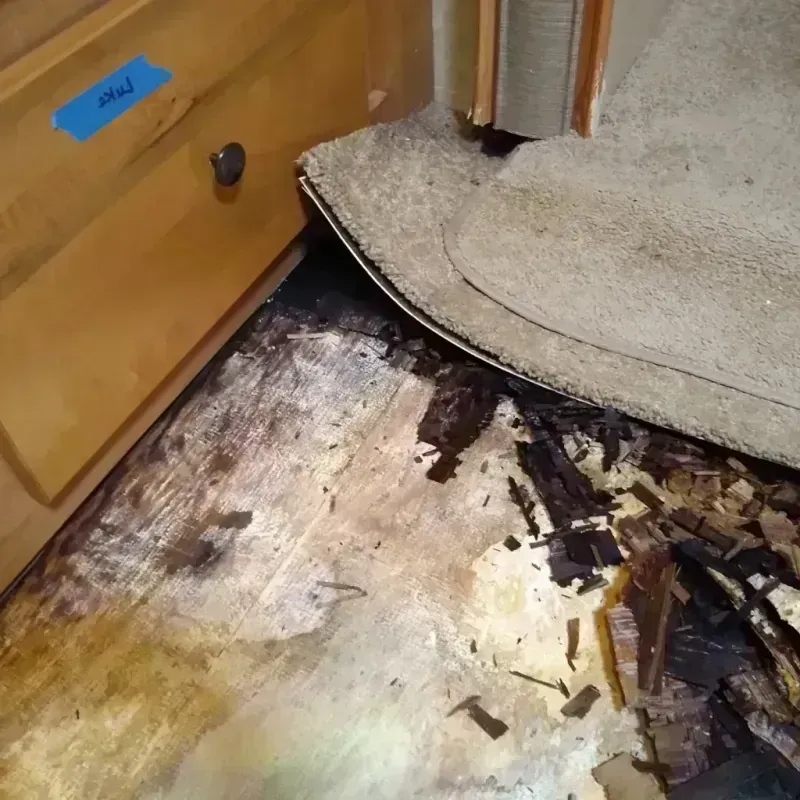 Wood Floor Water Damage in Hopkins, MN